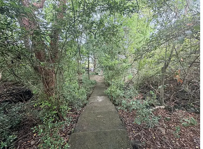 Départ du sentier boisé depuis le fond du jardin